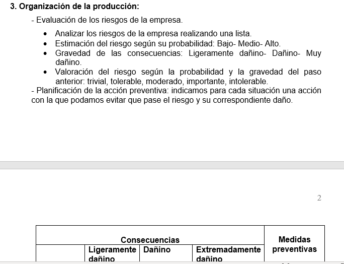 como hacer un plan de prevencion?'? ya tengo los datos de la empresa y todo, pero, como lo represento, en word?